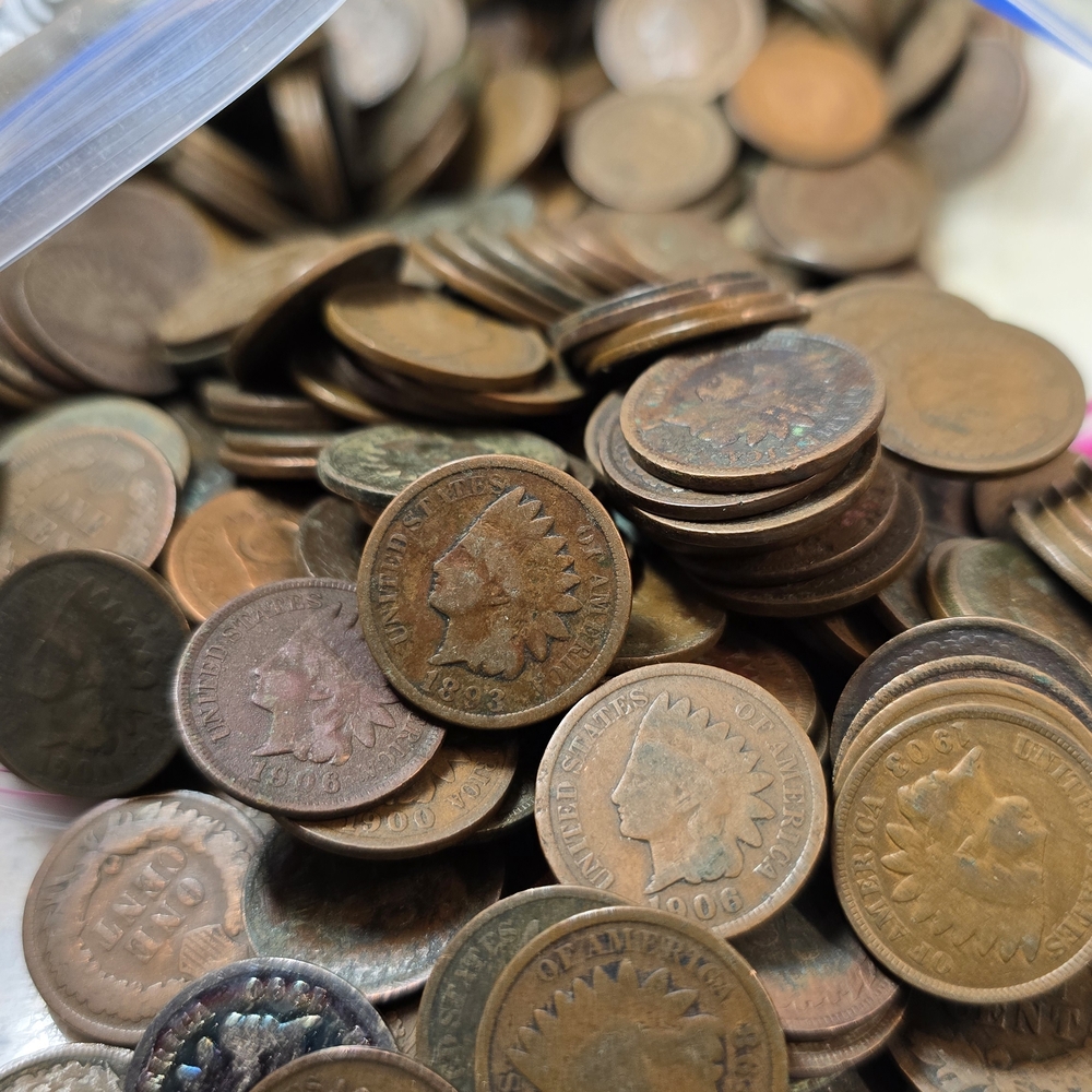 10 Random Indian Head Pennies - Dates & Conditions Vary